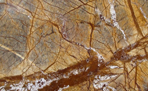 Forest Web Brown