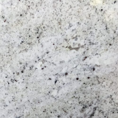 Salinus White